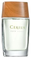 Cereus No5 