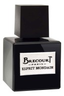 Brecourt Esprit Mondain 