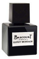 Brecourt Esprit Mondain парфюмерная вода 50мл тестер