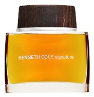 Kenneth Cole Signature men туалетная вода 50мл тестер