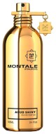 Montale Aoud SHINY парфюмерная вода 2мл - пробник