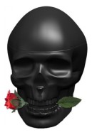 Christian Audigier Ed Hardy Skulls & Roses For Him туалетная вода 100мл тестер