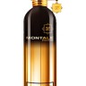 Montale Amber Musk 