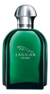 Jaguar For Men (Green) туалетная вода 125мл