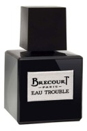 Brecourt Eau Trouble парфюмерная вода 50мл тестер