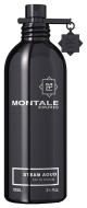 Montale STEAM Aoud 