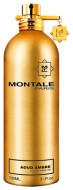 Montale Aoud AMBRE парфюмерная вода 2мл - пробник