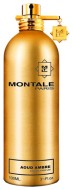 Montale Aoud AMBRE 